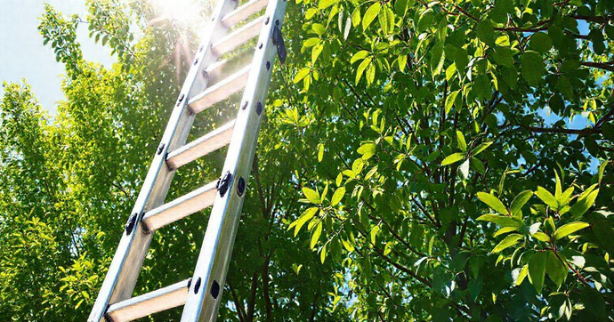 Escada de Alum&iacute;nio Dobr&aacute;vel de 6 Metros: Praticidade e Seguran&ccedil;a para Seu Dia a Dia